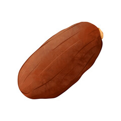 dried date illustration. healthy tasty meal for ramadan.