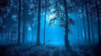 Obraz premium A quiet, misty forest under the moonlight, exuding mystery. Ideal for nature themes, storytelling, and atmospheric designs.