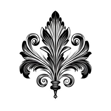 Ornate Decorative Flourish Design