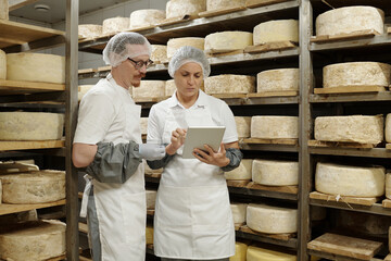 Two workers wearing hairnets and while lab coats inspecting cheese wheels with tablet in storage...