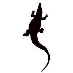 Obraz premium crocodile top view silhouette on white background vector