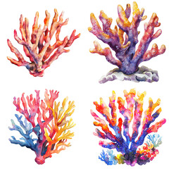 Vibrant coral illustrations underwater scene artwork marine environment close-up view ocean life concept
