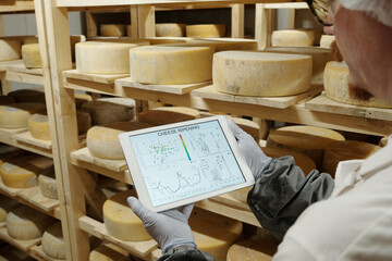 A person wearing gloves is monitoring aging cheese with a digital tablet in a dairy facility, surrounded by wooden shelves topped with wheels of cheese