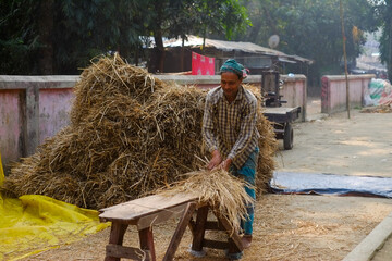 Rural farmer threshing dried crops on a table 