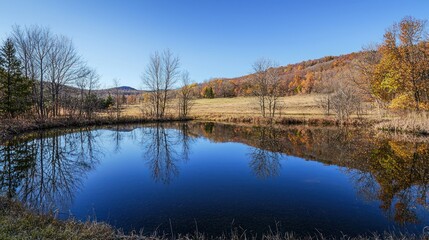 Obraz premium A smooth, still pond reflecting the surrounding landscape with no ripples disturbing the surface.