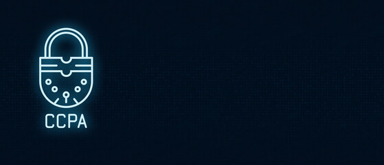 Navigating the CCPA How Businesses Can Safeguard Consumer Data and Avoid Penalties