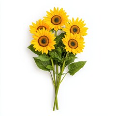 Obraz premium Vibrant Yellow Sunflowers with Green Leaves on a White Background