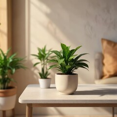 Fototapeta premium A small potted plant on a beige textured side table , potted plant, natural elements