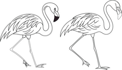 Flamingo bird bundle line art and illustrator eps