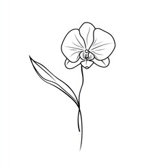Line art orchid, single stem, white background, minimalist design, floral illustration
