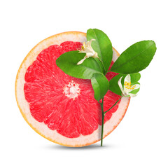 Juicy grapefruit and citrus plant branch isolated on white