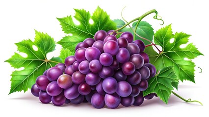 Obraz premium Lush Purple Grapes & Ivy Leaves - Architectural Photography Background