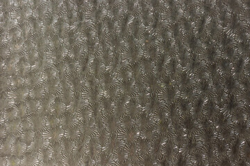 Relief glass. Textured glass. Decorative glass. Close-up. Texture