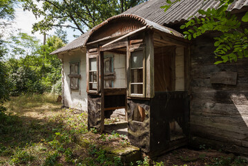 Abandoned old wooden house among the green trees and tall grass. Rural landscape. Ukraine.