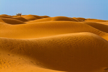 Background .The Sahara desert.  Sand dunes of Grand Erg Oriental near the oasis of Ksar Ghilane, Tunisia, Africa