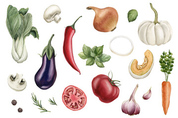 Fresh vegetables clipart set. White pumpkin, Chinese cabbage, eggplant, tomato, onion. Watercolor food illustration