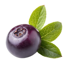 huckleberry Delights: Fresh & Juicy Collection