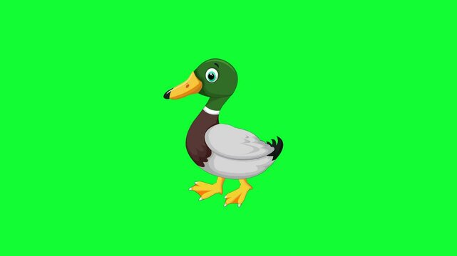 2D Duck cartoon character walking in greenbox