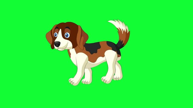Cartoon dog walking animal, green screen background and 2d animation