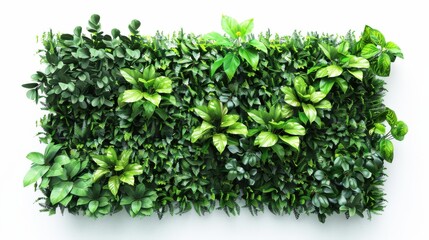 Obraz premium Green Living Wall: A Vibrant Touch of Nature