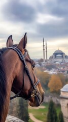 Obraz premium Brown Horse Gazes Upon Istanbuls Majestic Mosque