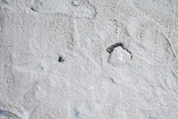 fresh cement