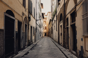 Fototapeta premium A serene landscape view of a narrow cobbled alley flanked by historic Florentine buildings