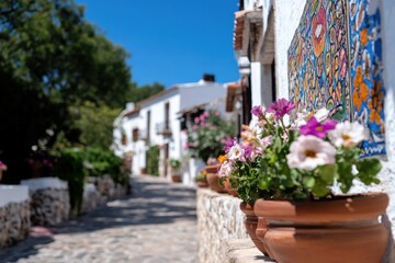An enchanting pathway adorned with multiple flower pots showcasing vibrant blooms against a backdrop of quaint, charming architecture in a bright setting.
