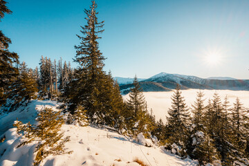 Winter hiking to Sina in Low Tatras National park near jasna is full of beautiful views. Sunset in Slovakia mountains with Chopok peak.