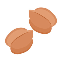 Two chickpea seeds, Few Chickpea isolated.