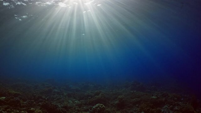 Sun Rays ligthning the Coral Reef - Indonesia