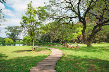 Serene Pathway Through Lush Green Landscape by Tranquil Water Body