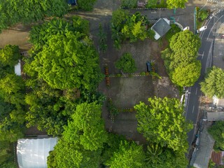 Top-down view of a park with lush green trees, a road, and a small parking area.