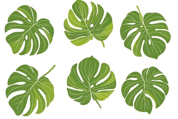 Fototapeta premium 4 vector images of green palm leaves on a white background