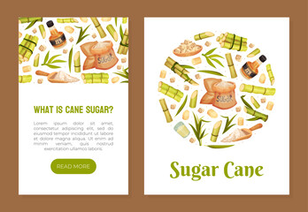 Sugar Cane Banner Design with Stem Plant Vector Template