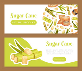 Sugar Cane Banner Design with Stem Plant Vector Template