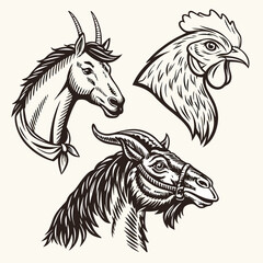 Horse, goat and  chicken  head vector
