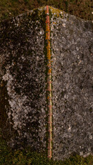 Old Barn Roof drone view