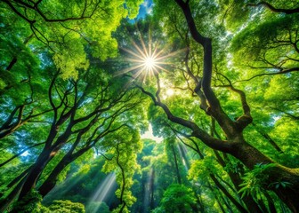 Fototapeta premium Sunlit Forest Path: Serene Green Canopy with Dappled Sunlight
