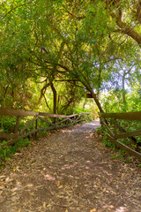 sendero de trekking en reserva natural