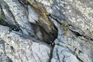 Rough rocky shore along famous Ring of Kerry route. Rugged coast of on Iveragh Peninsula, County Kerry, Ireland.