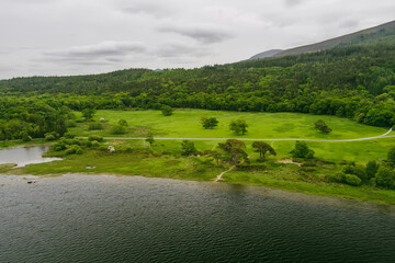 Aerial view of large pine trees on a banks of Muckross Lake, also called Middle Lake or The Torc, located in Killarney National Park, County Kerry, Ireland