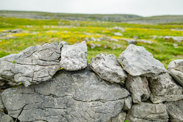 Famous Irish dry-stone wall, built of stones to separate and protect crop fields as well as create separated fields for livestock grazing.