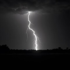 Electric Majesty A Captivating Black and White Lightning Photo