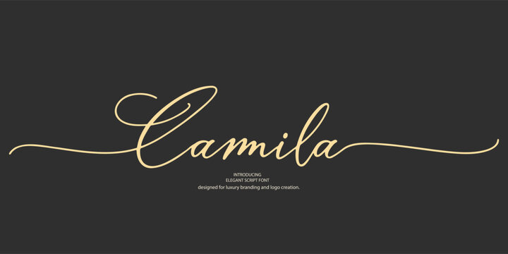 Elegant serif font "Camila" crafted for luxury branding and logo creation. This minimal and classic typeface blends vintage-inspired typography with timeless sophistication