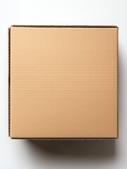 Fototapeta premium Plain cardboard box for shipping and storage.