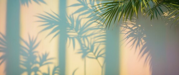Sunlit Palm Leaves Casting Shadows on a Pastel Wall