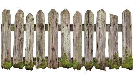 wooden fence with grass isolated on white background