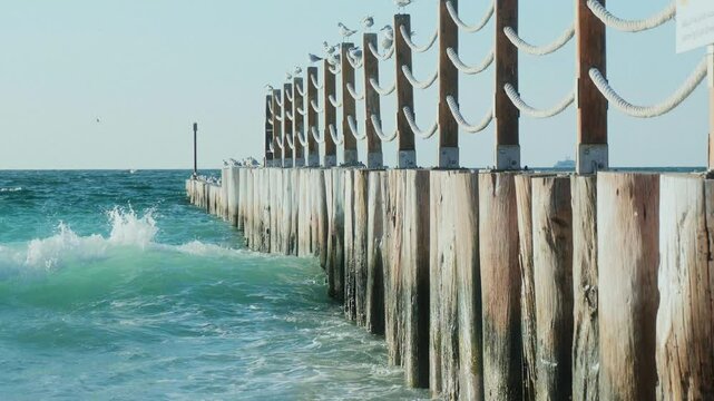 sea waves and seagulls