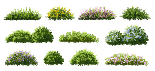 Vector of tree or blooming  side view isolated on white background ,watercolor tree elevation for landscape concept,environment scene,eco design,blossom garden for spring